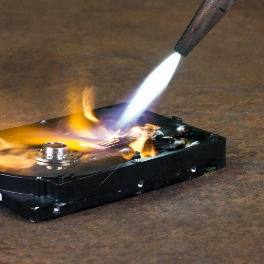 Imagen de la galería